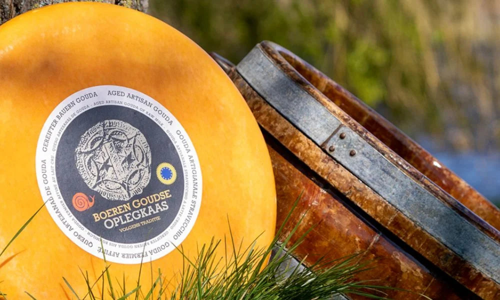 Rad eines gereiften Boeren Goudse Oplegkaas (Artisan ) mit aufgeklebtem Etikett, neben einem rustikalen Holz‑Käsefass auf Gras am Ufer gelegen.