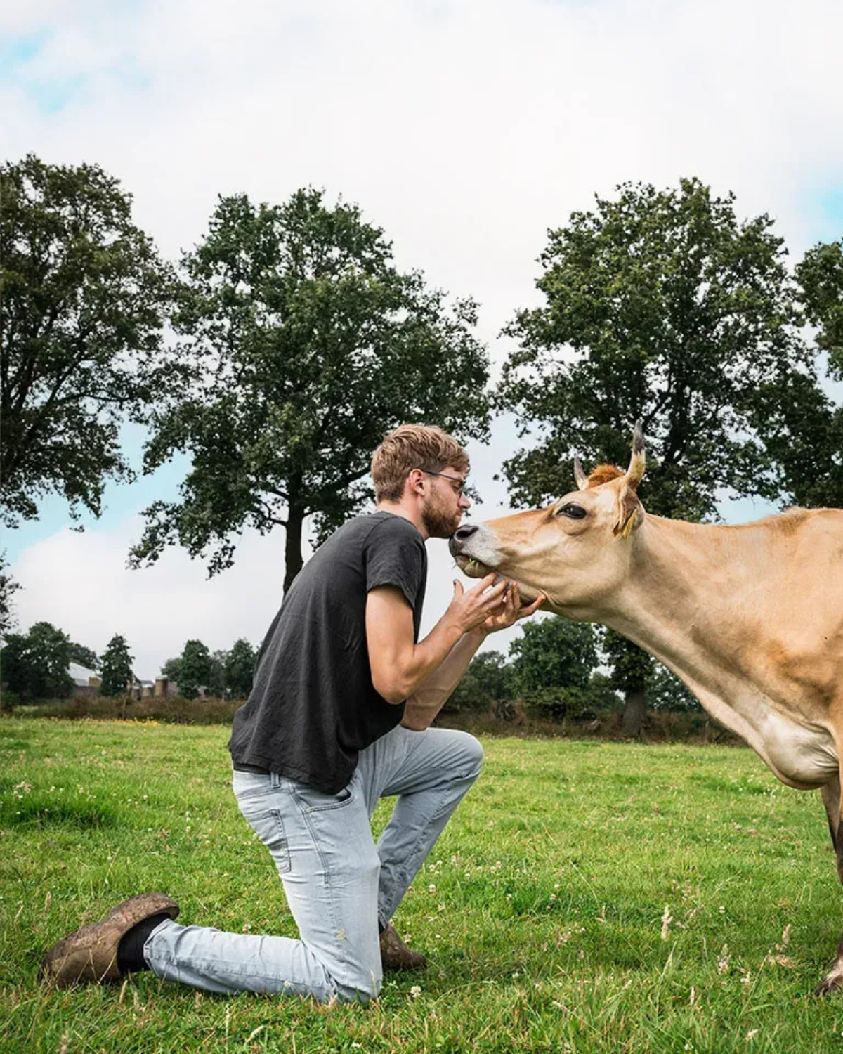 Jersey Kuh aus Lunteren von Remeker
