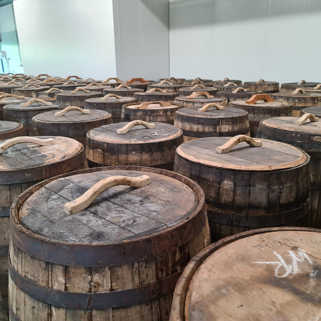 Alte Whiskyfässer, aufgereiht in der Tomasu Manufaktur, in denen die Sojasauce für über 24 Monate zur Perfektion reift.