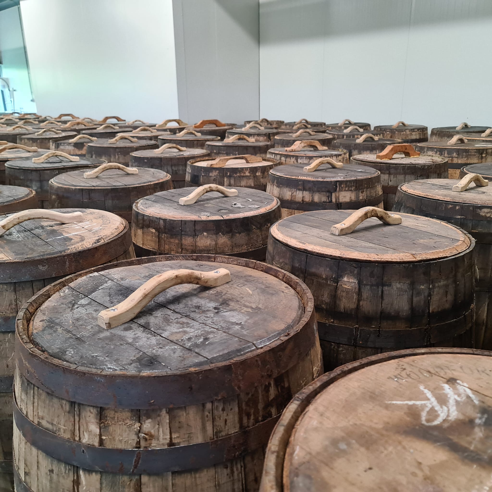 Reihen alter Whiskyfässer in der Tomasu-Manufaktur, in denen die Sojasauce über 24 Monate reift