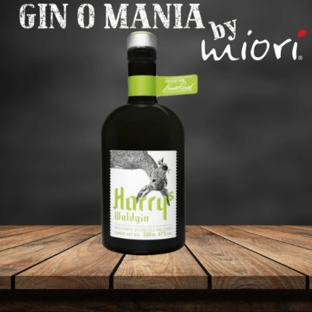 Eine Flasche Harry's Wald Gin aus der Eifel, präsentiert auf einer Bühne , symbolisiert den natürlichen und authentischen Geschmack dieses handgefertigten Gins.