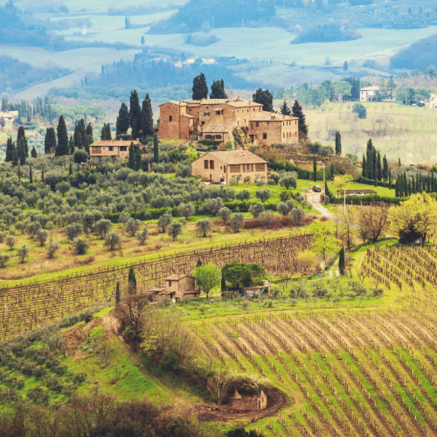 Panoramablick auf sonnenbeschienene Weinberge in der Toskana, Italien, mit einer Nahaufnahme einer Flasche italienischen Weins im Vordergrund